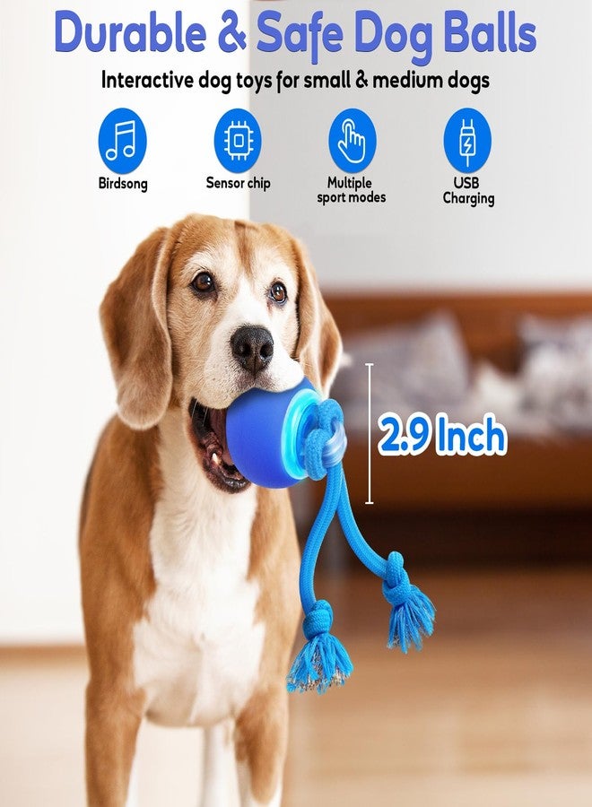 BENTOPAL Interactive Dog Toys to Keep Them Chase Busy Buddy Doggie Ball for Small Puppy(Blue) - Image 2